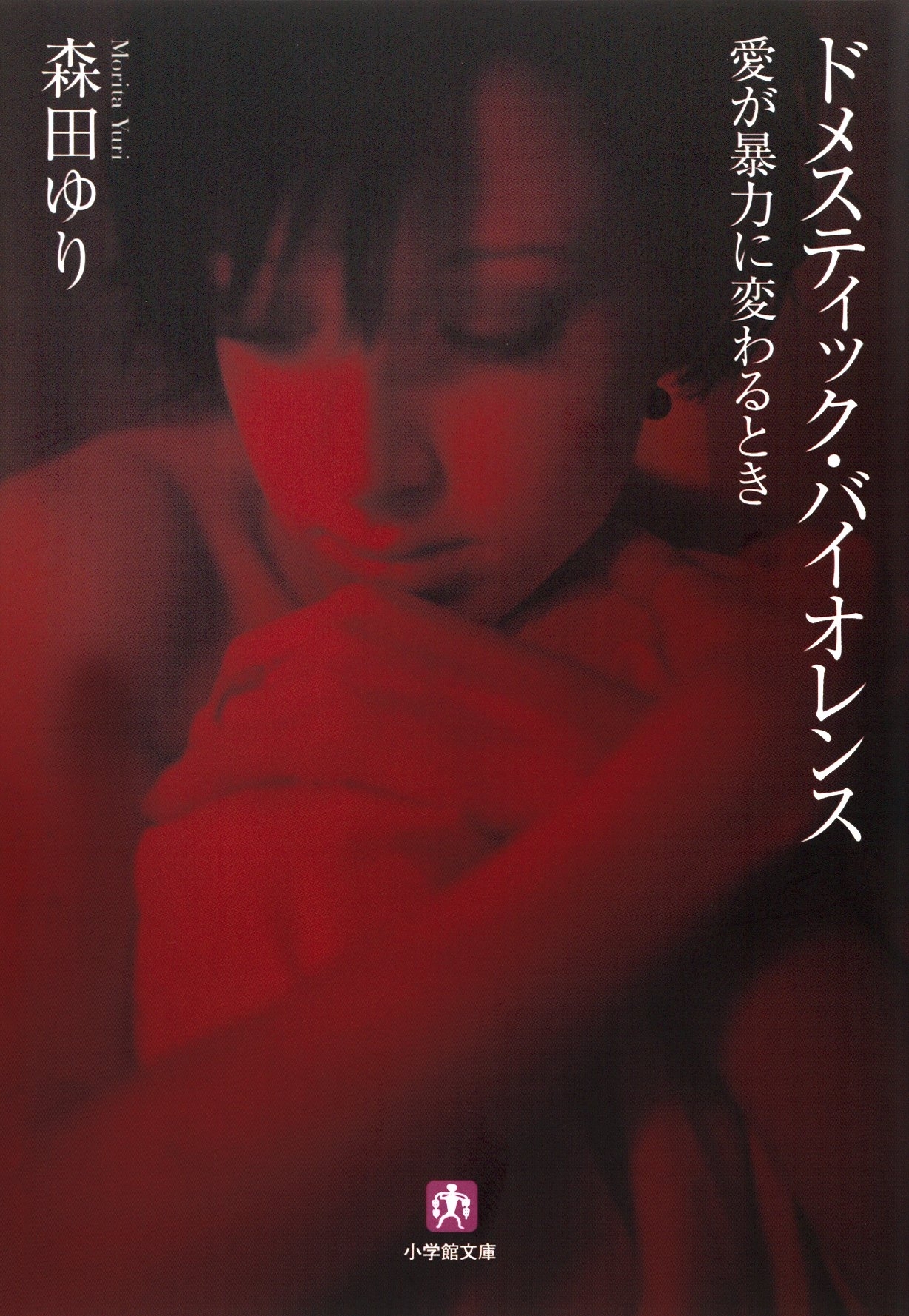 ドメスティック・バイオレンス愛が暴力に変わるとき（小学館文庫）