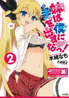 妹は僕に手を出すなっ!2
