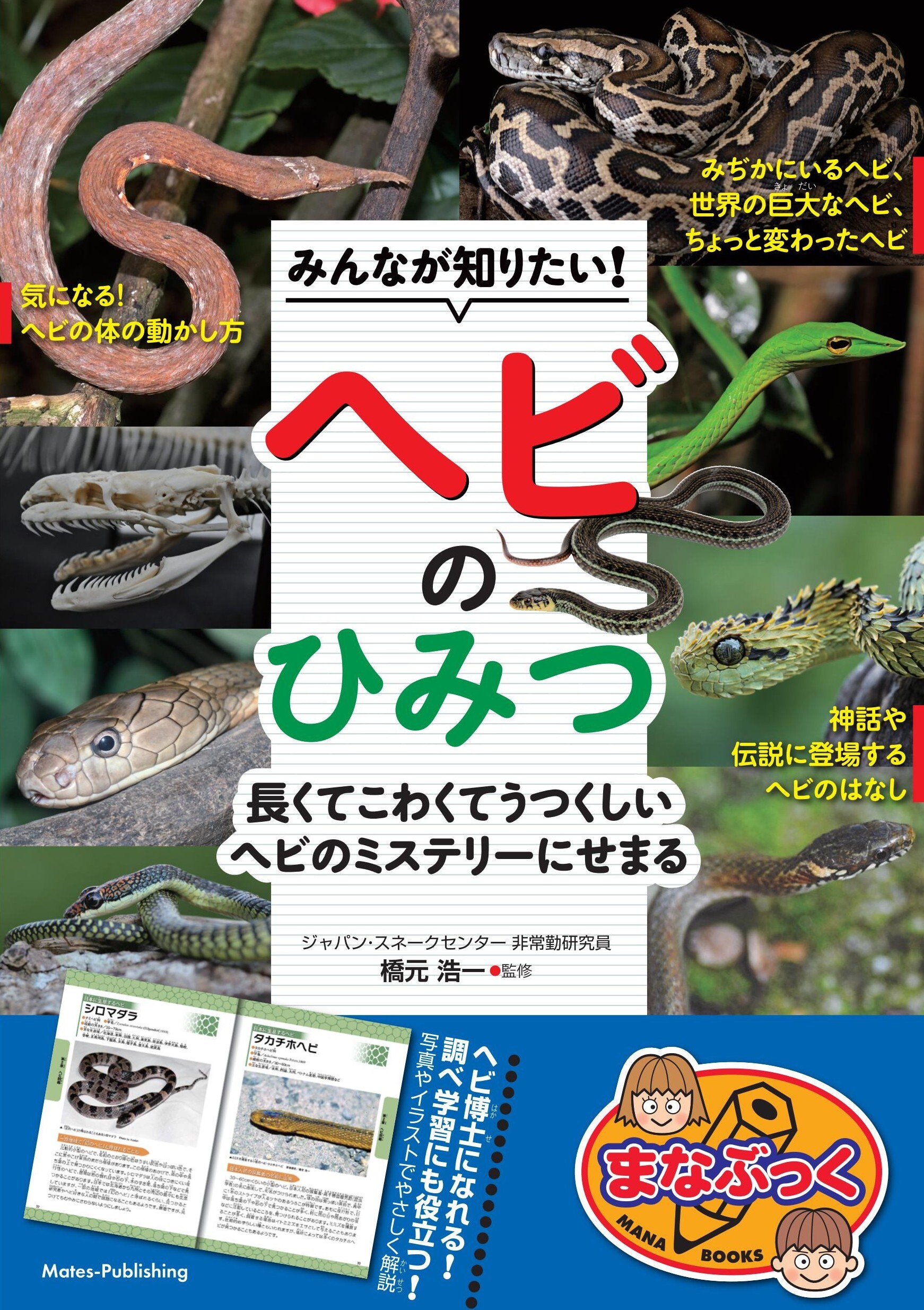 みんなが知りたい！ ヘビのひみつ 長くてこわくてうつくしい ヘビのミステリーにせまる