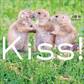 Kiss!