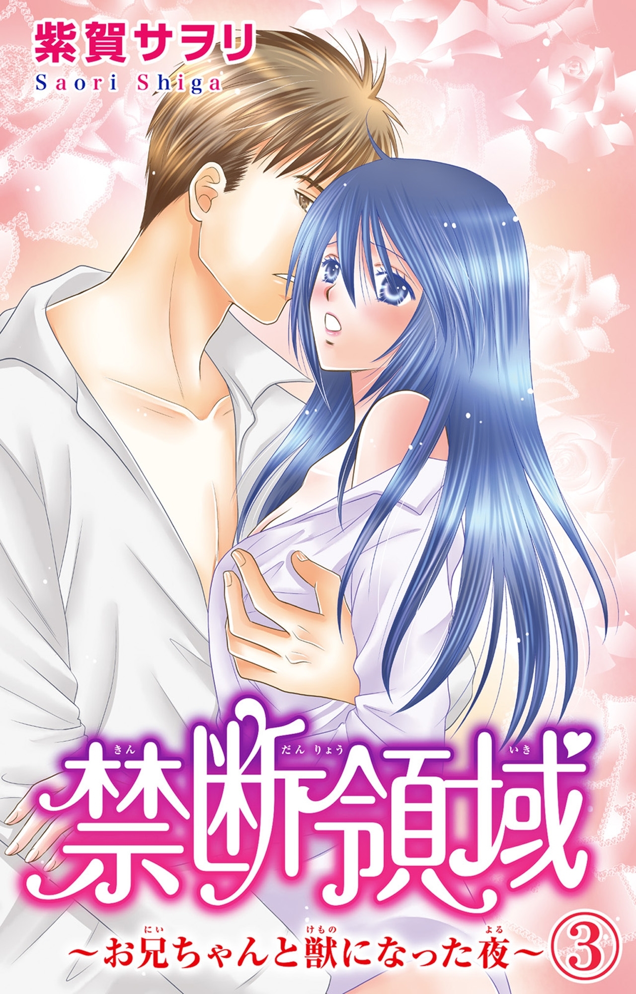 禁断領域～お兄ちゃんと獣になった夜～ 3