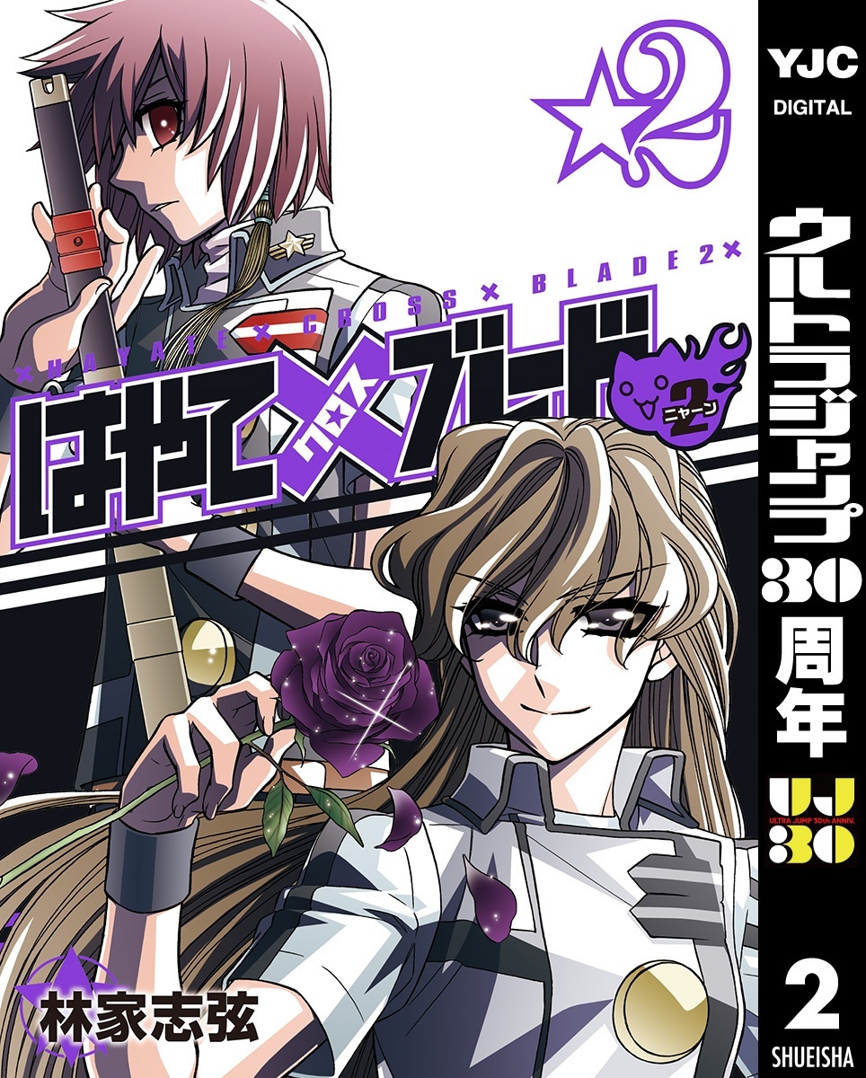 はやて×ブレード2 2