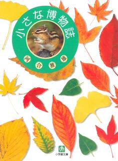 小さな博物誌(小学館文庫)