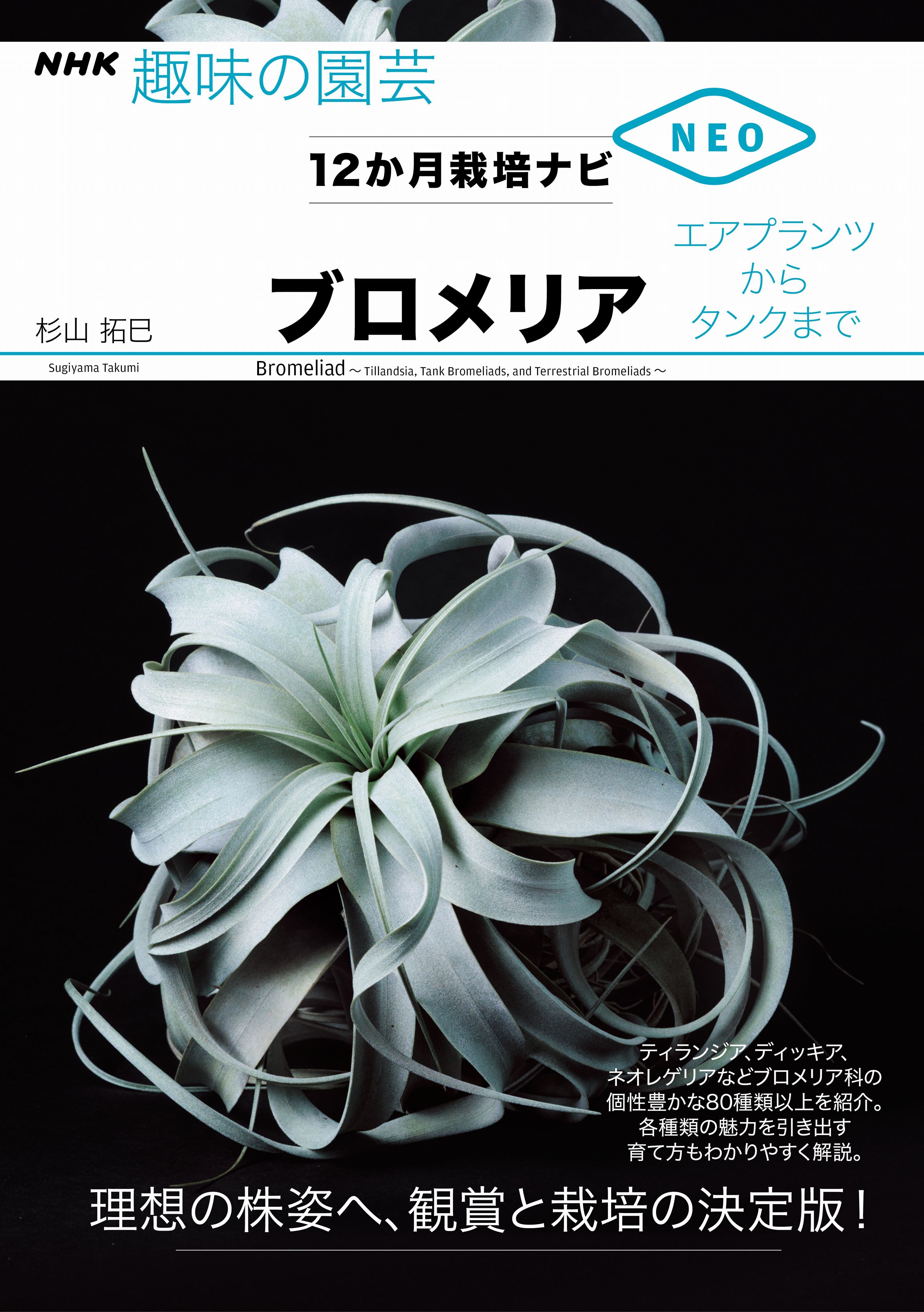 ブロメリア　エアプランツからタンクまで