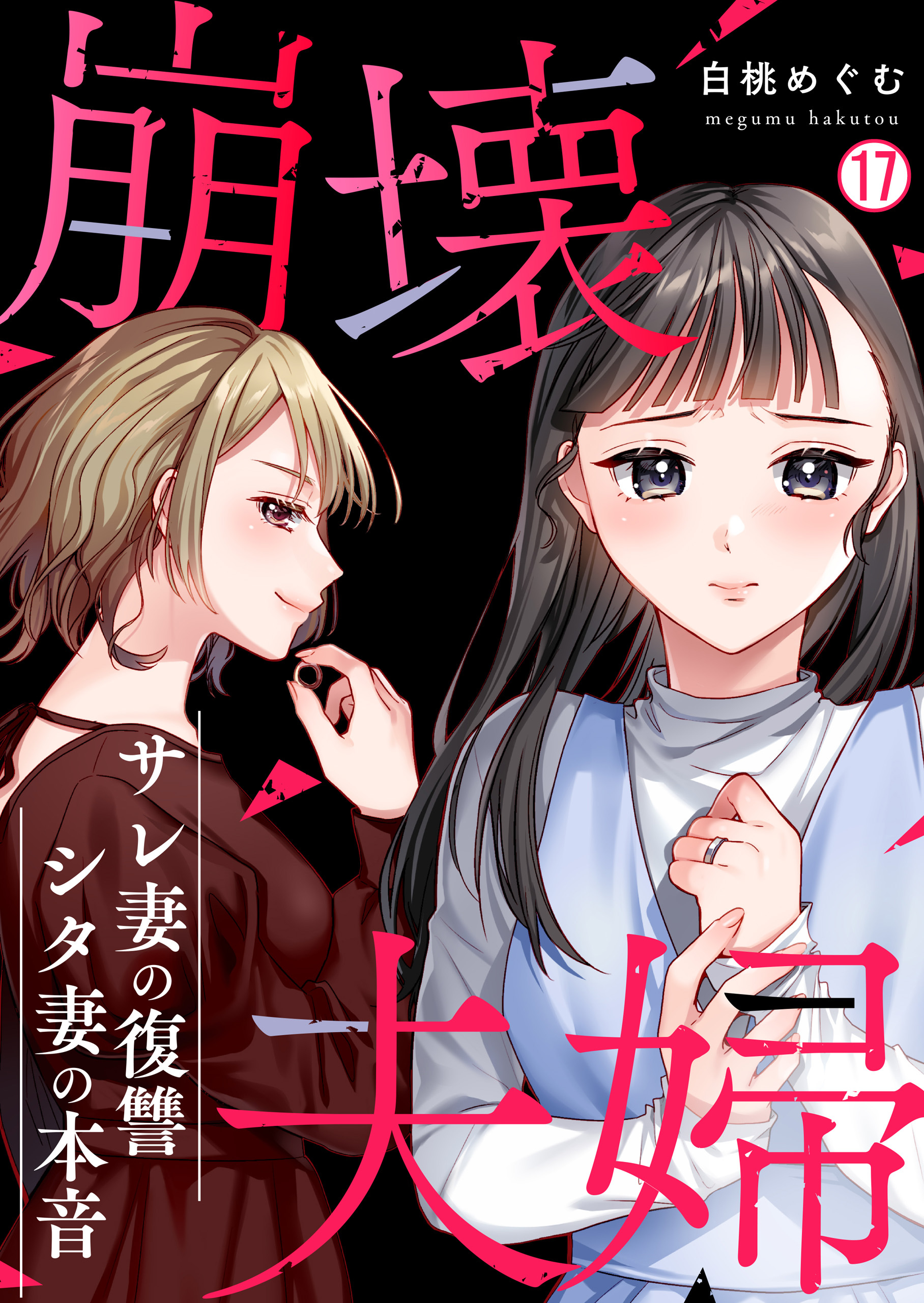 崩壊夫婦～サレ妻の復讐・シタ妻の本音(17)