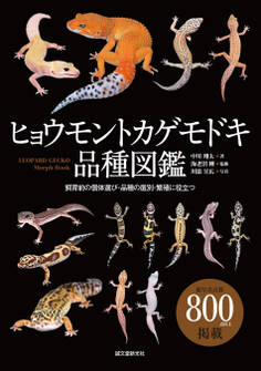 ヒョウモントカゲモドキ品種図鑑