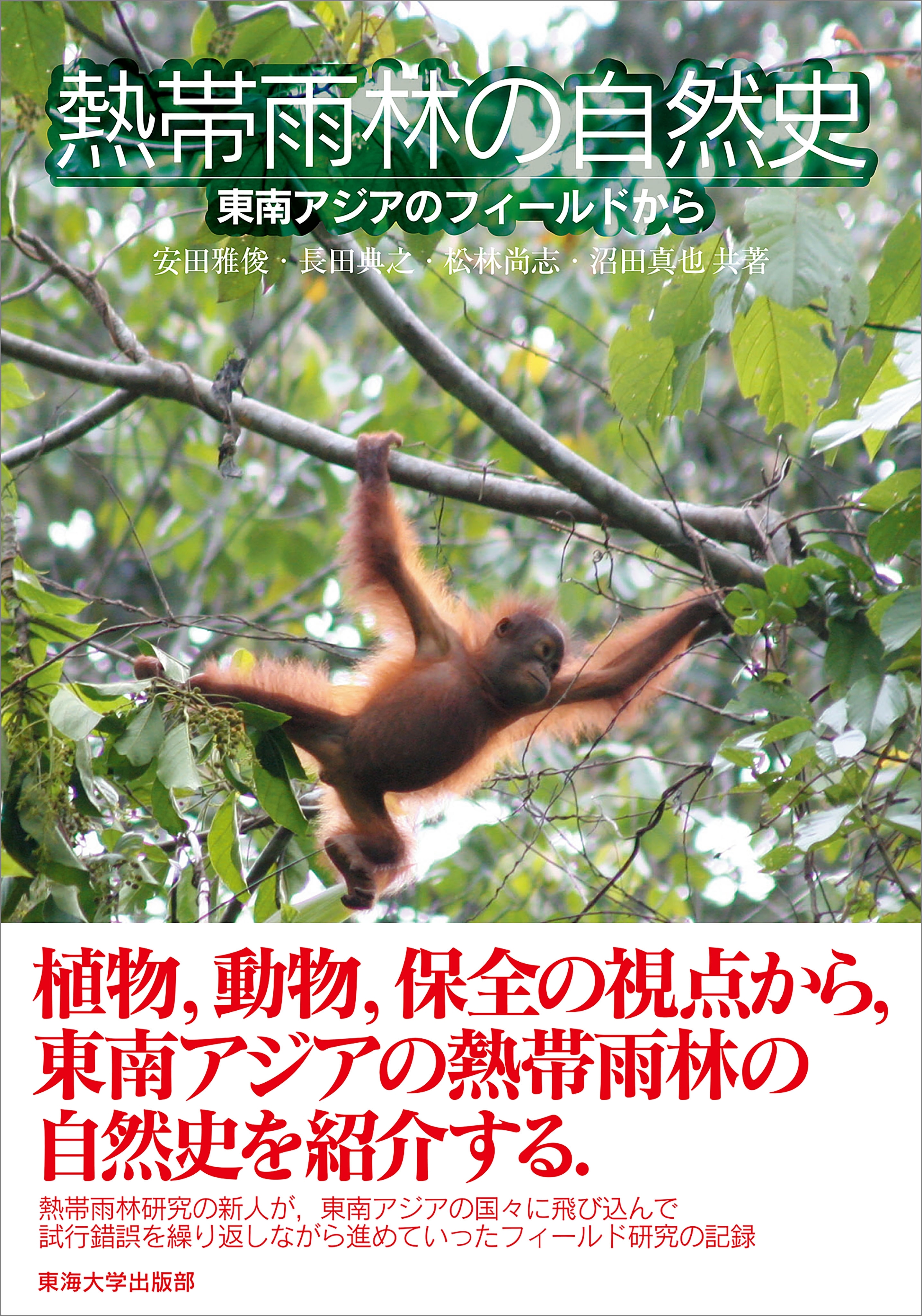 熱帯雨林の自然史