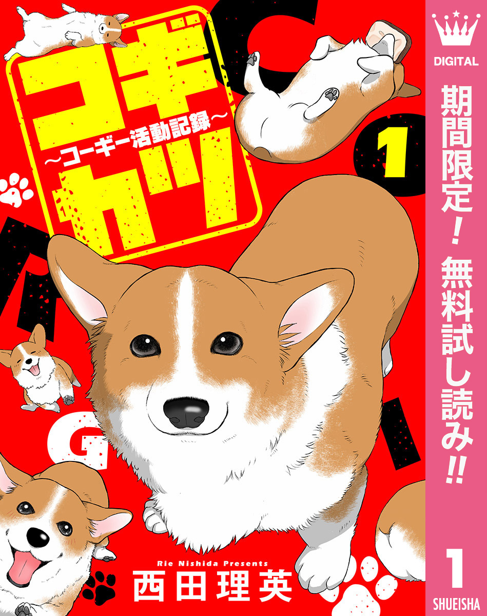 コギカツ～コーギー活動記録～【期間限定無料】 1