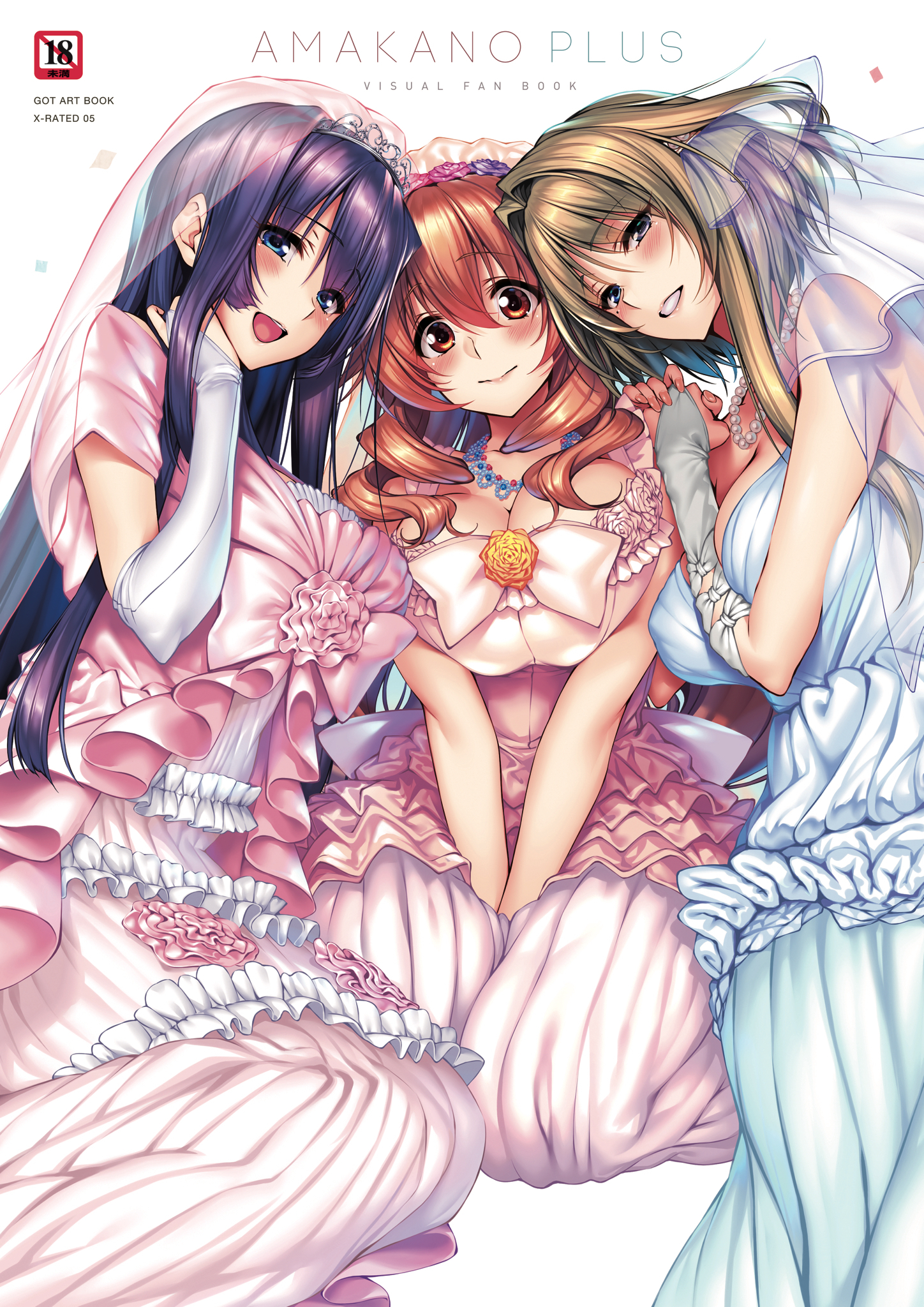 アマカノ＋ ビジュアルファンブック