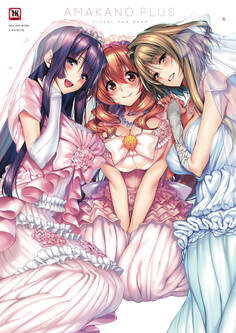 アマカノ+ ビジュアルファンブック