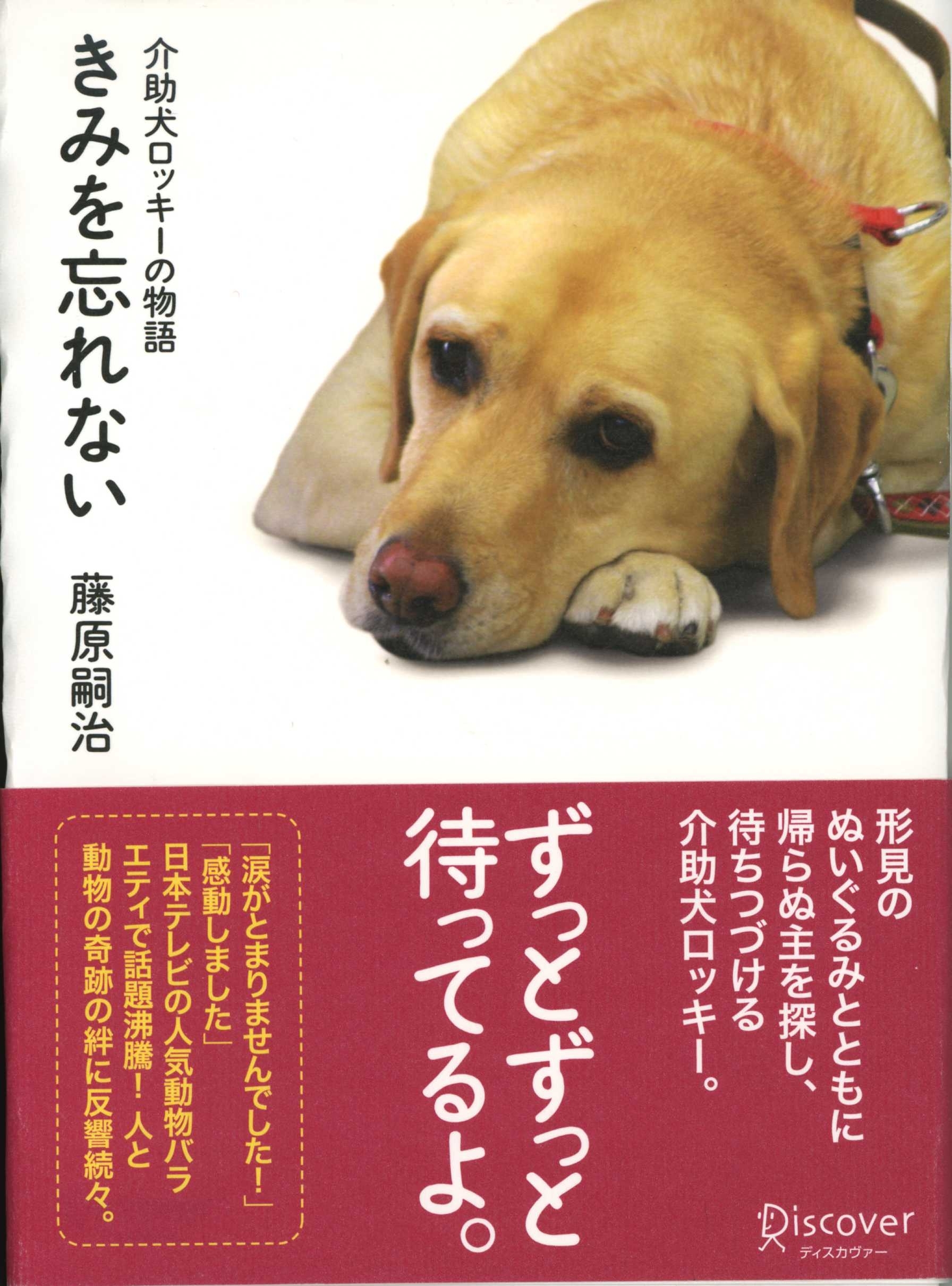 きみを忘れない　介助犬ロッキーの物語