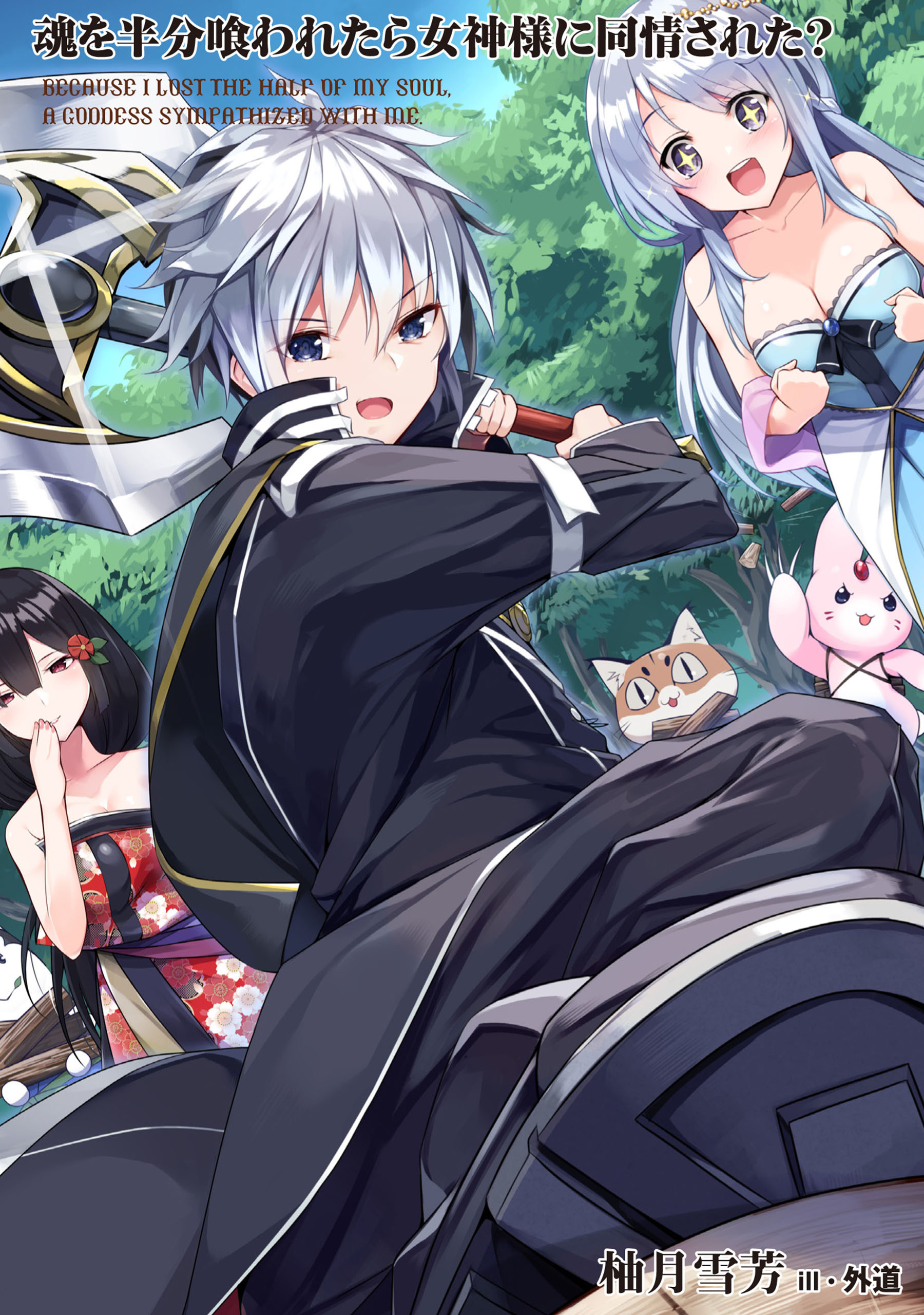 魂を半分喰われたら女神様に同情された？１