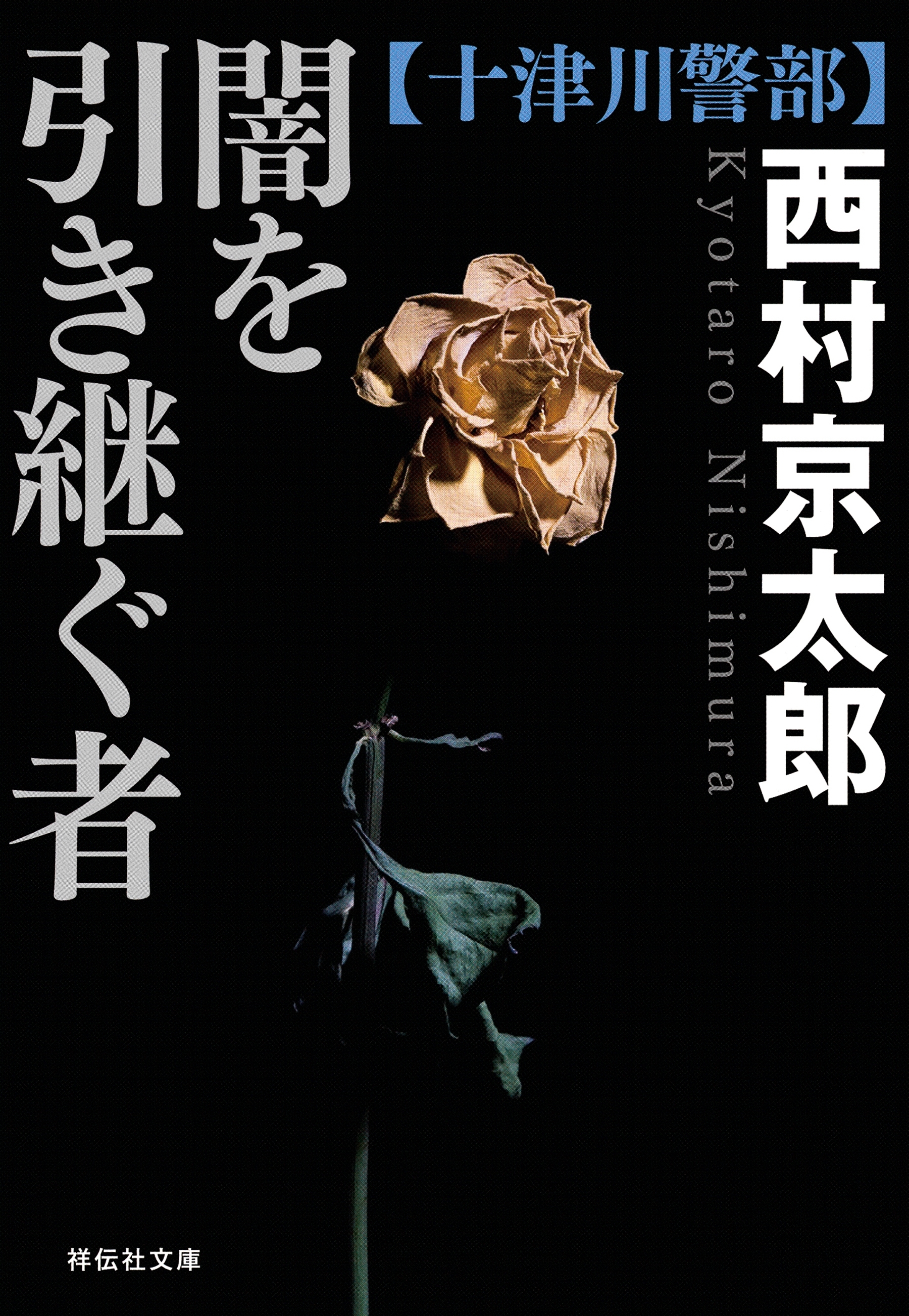 闇を引き継ぐ者