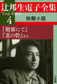 辻邦生電子全集 4巻 初期小説 『廻廊にて』『夏の砦』ほか