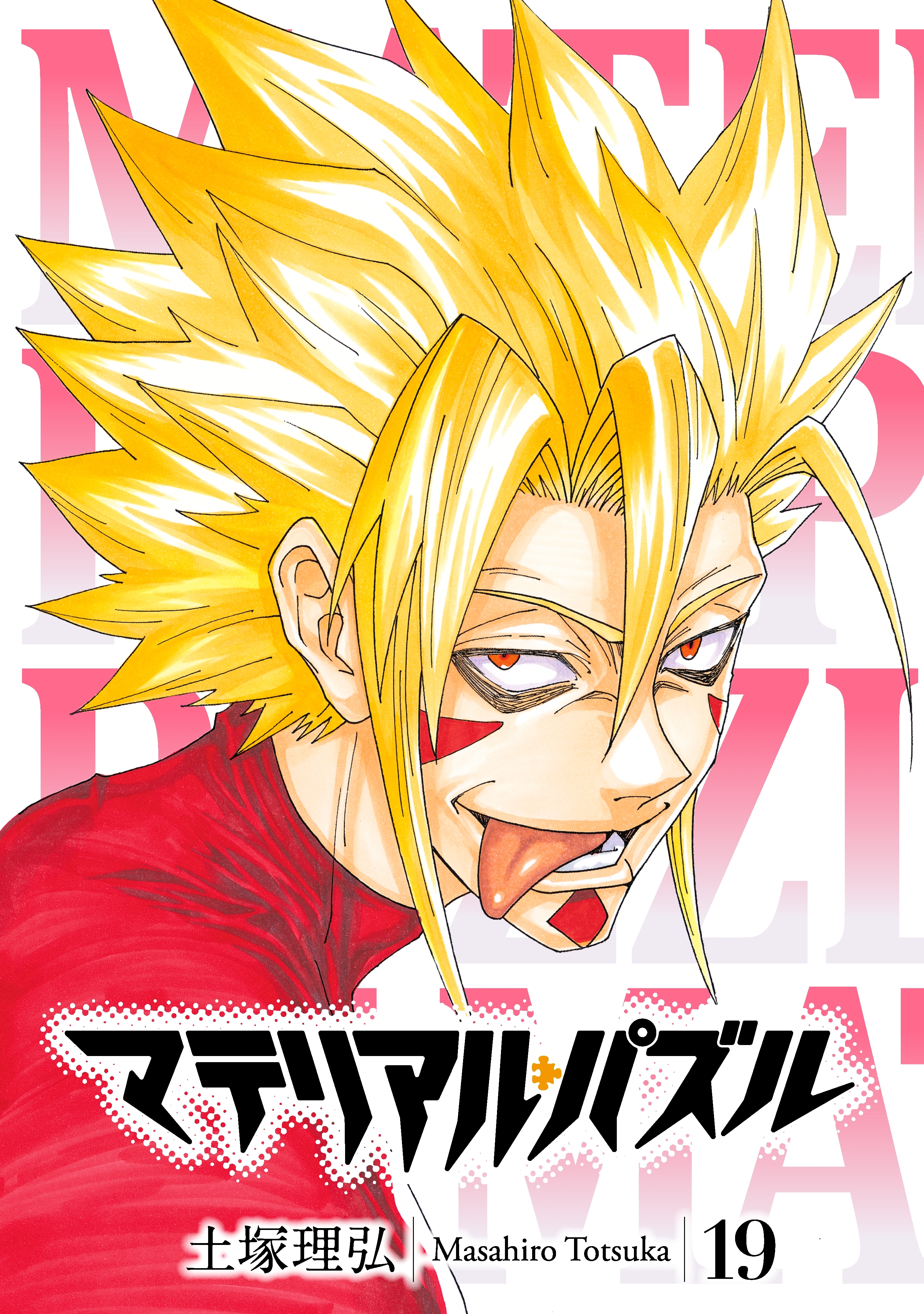 マテリアル・パズル（19）