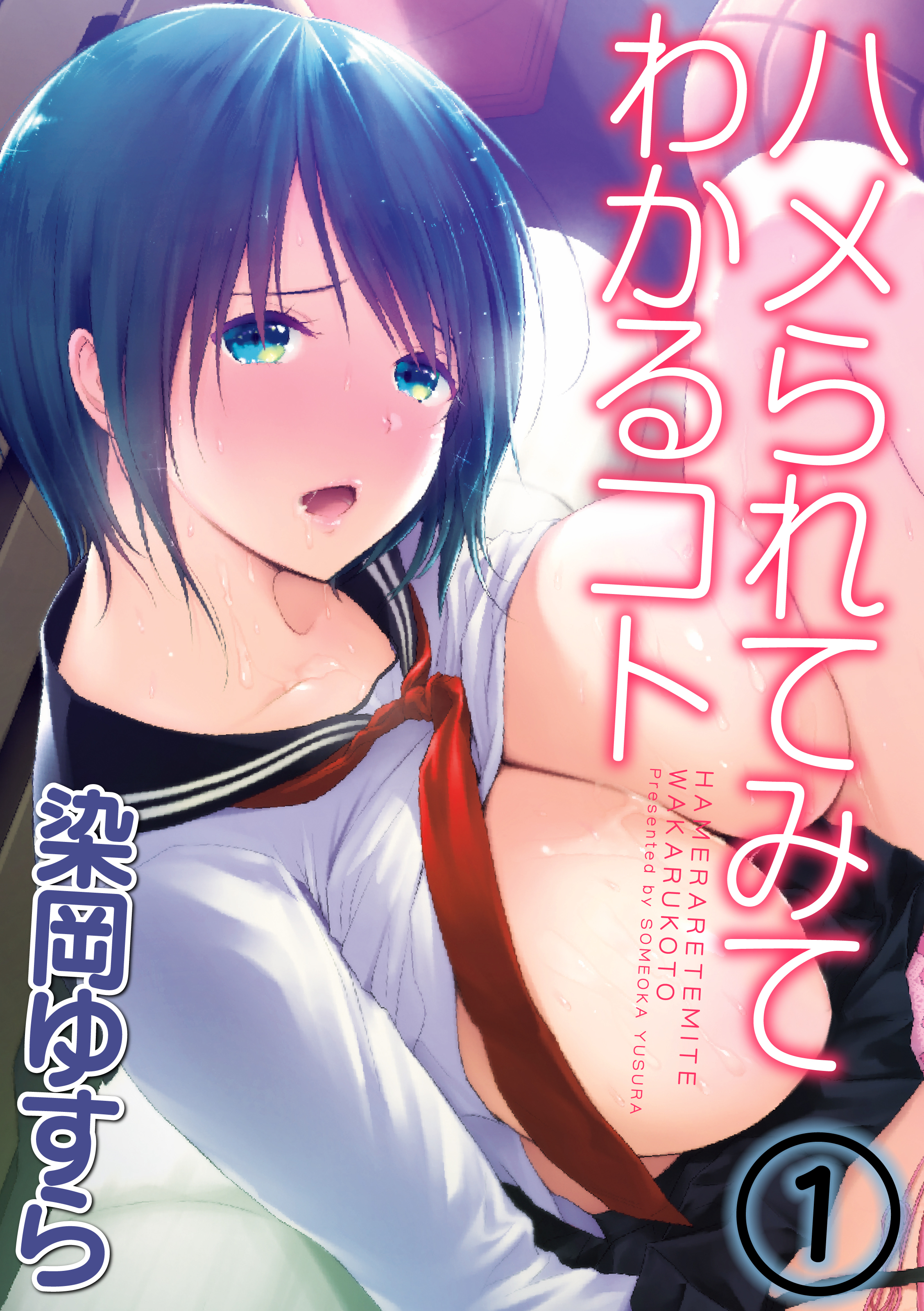 ハメられてみてわかるコト(1)