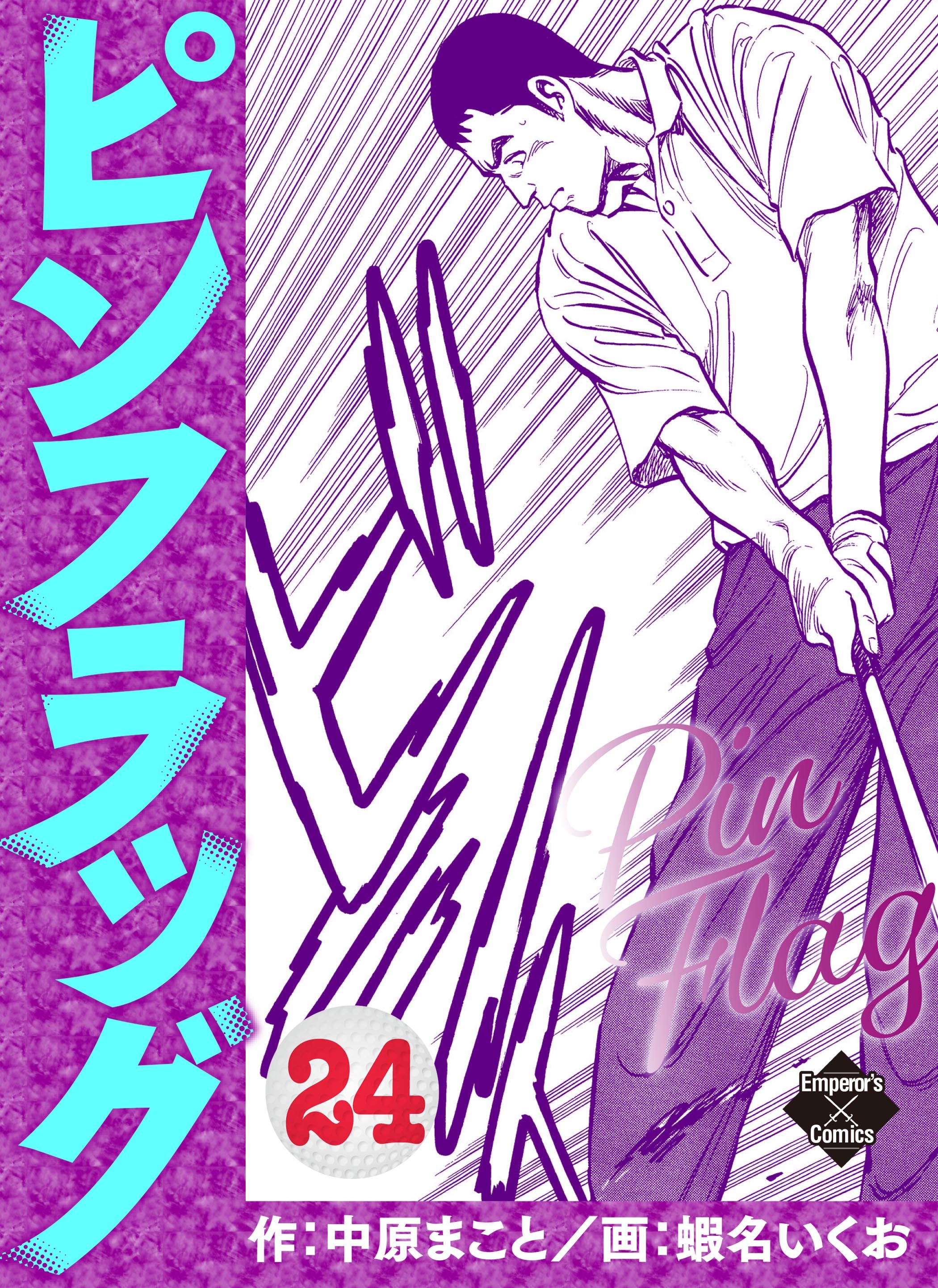 ピンフラッグ 24