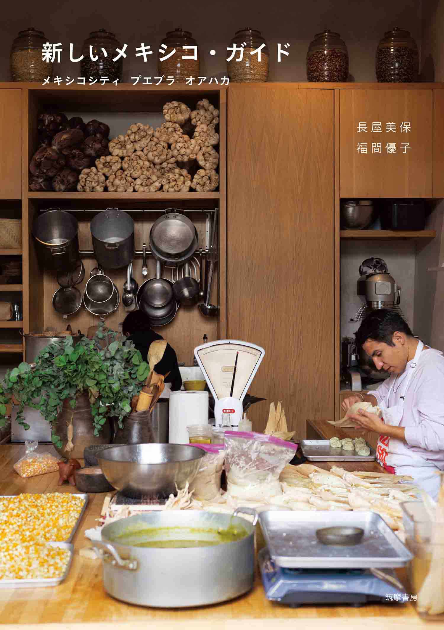 新しいメキシコ・ガイド　――メキシコシティ プエブラ オアハカ