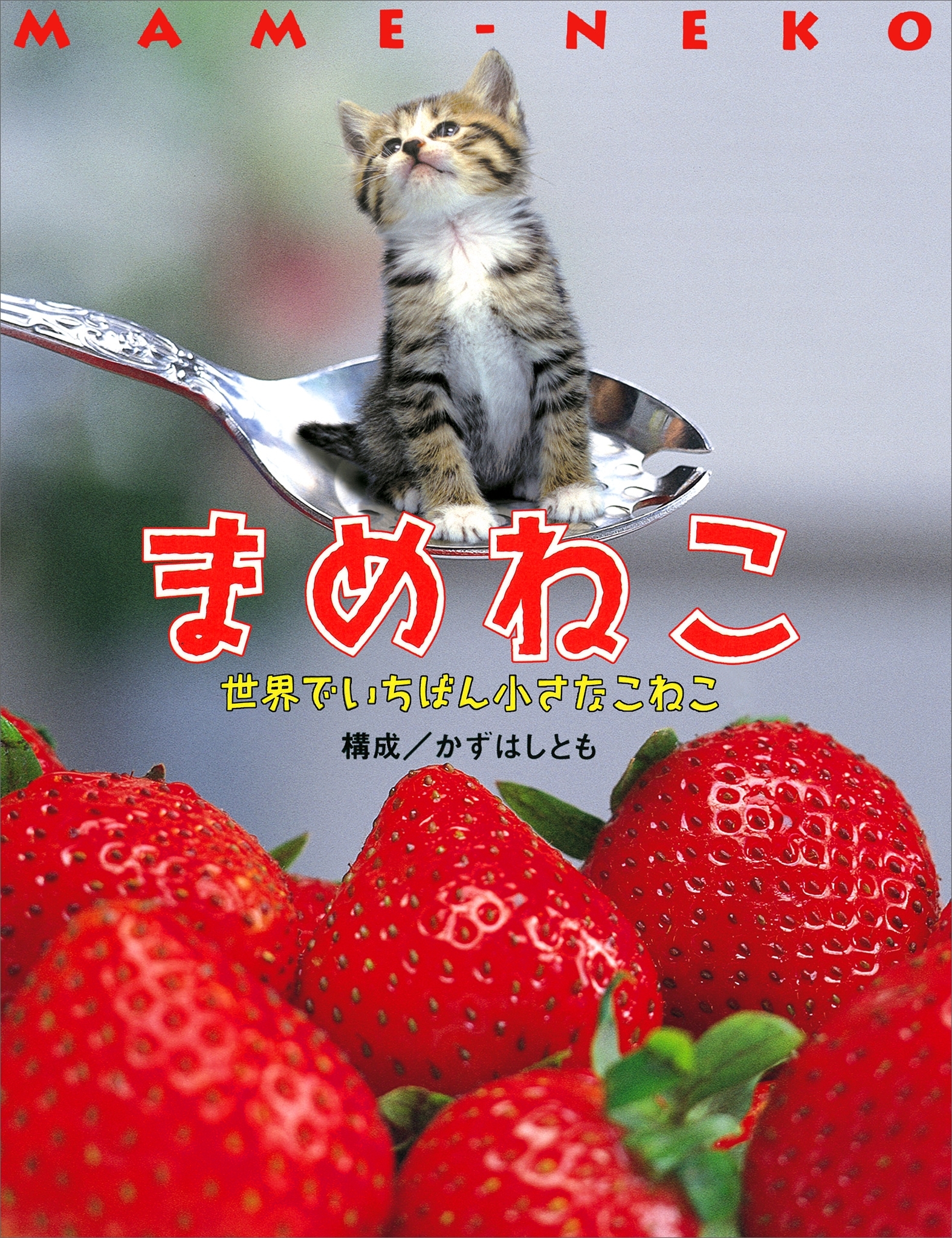 まめねこ　世界でいちばんちいさなこねこ