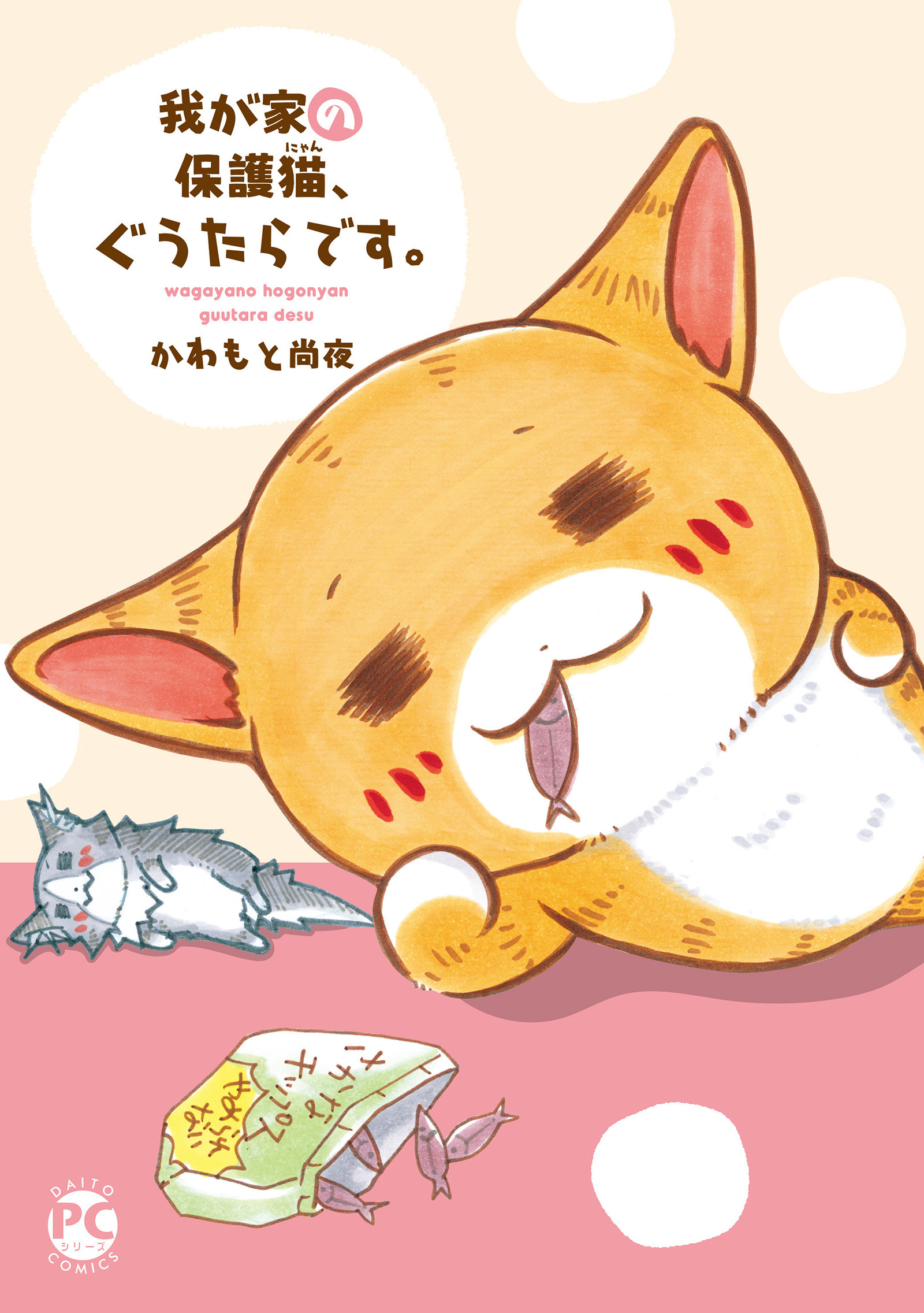 我が家の保護猫、ぐうたらです。