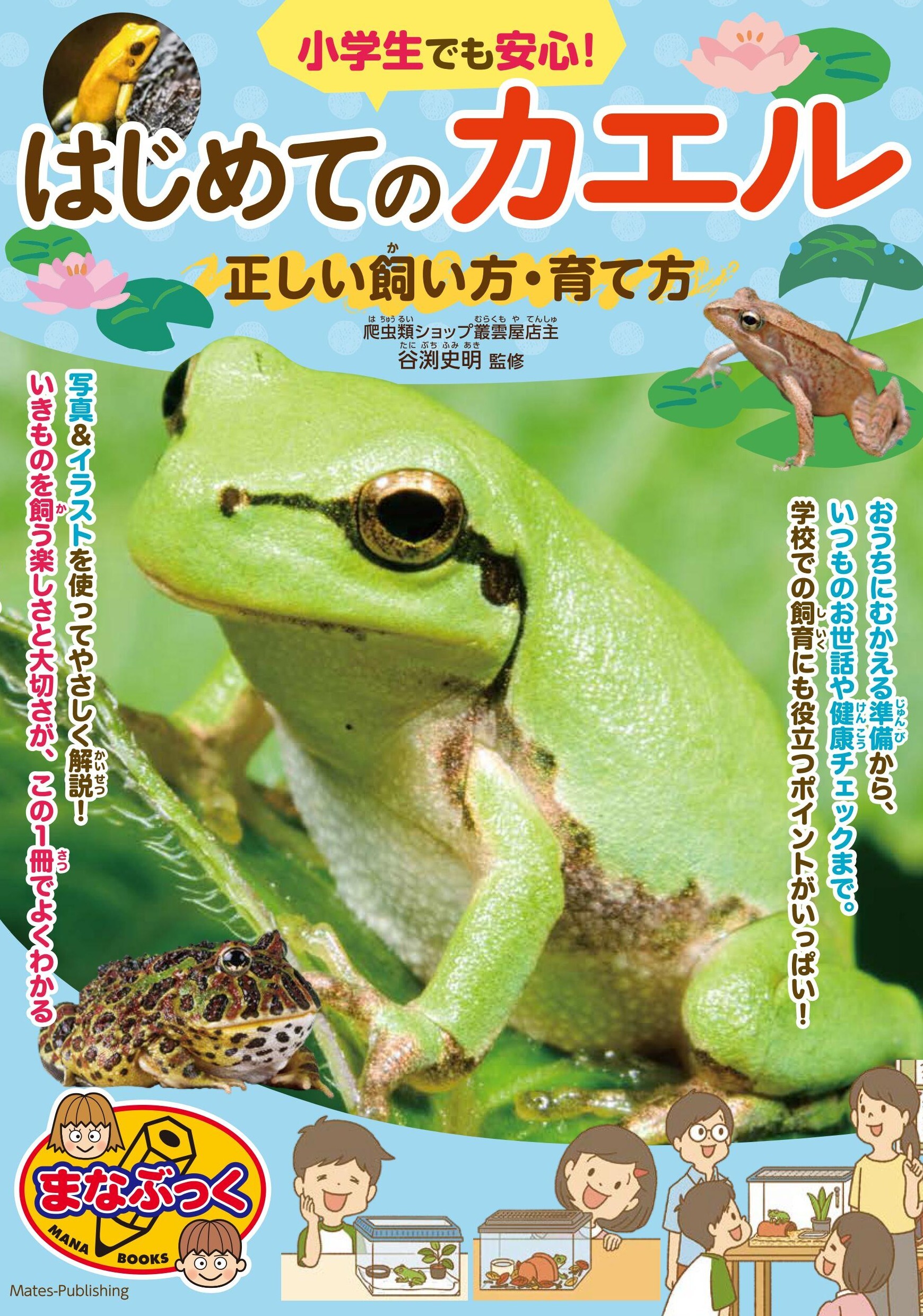 小学生でも安心！ はじめてのカエル 正しい飼い方・育て方