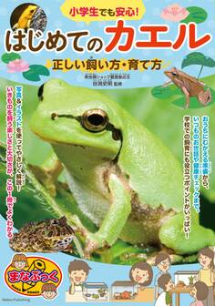 小学生でも安心! はじめてのカエル 正しい飼い方・育て方