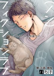 （ノン）フィクションラブ～このふたり、全部ウソ。～ 分冊版 ： 3