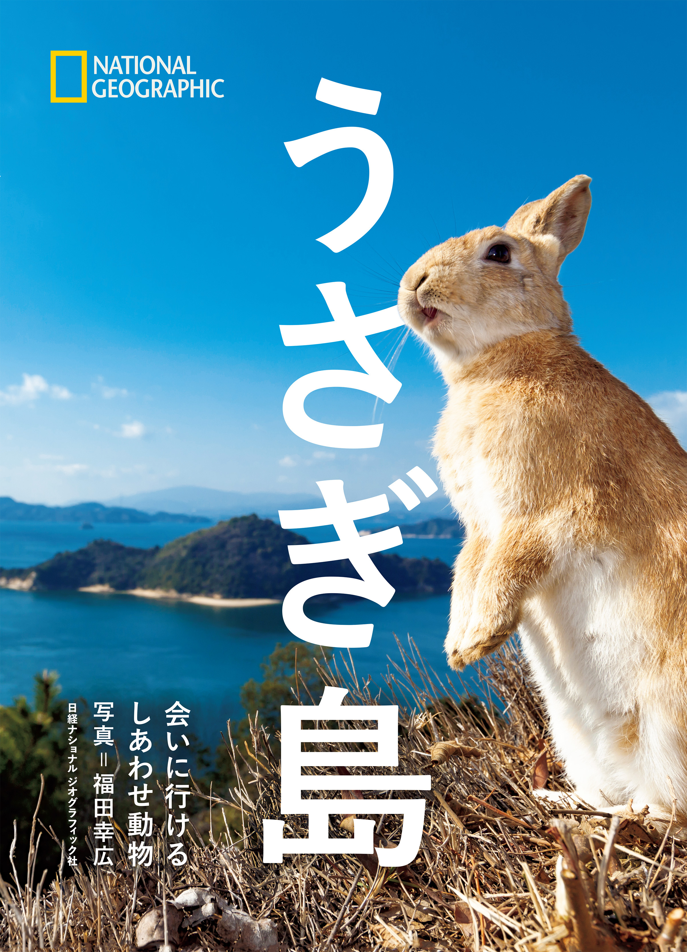 うさぎ島