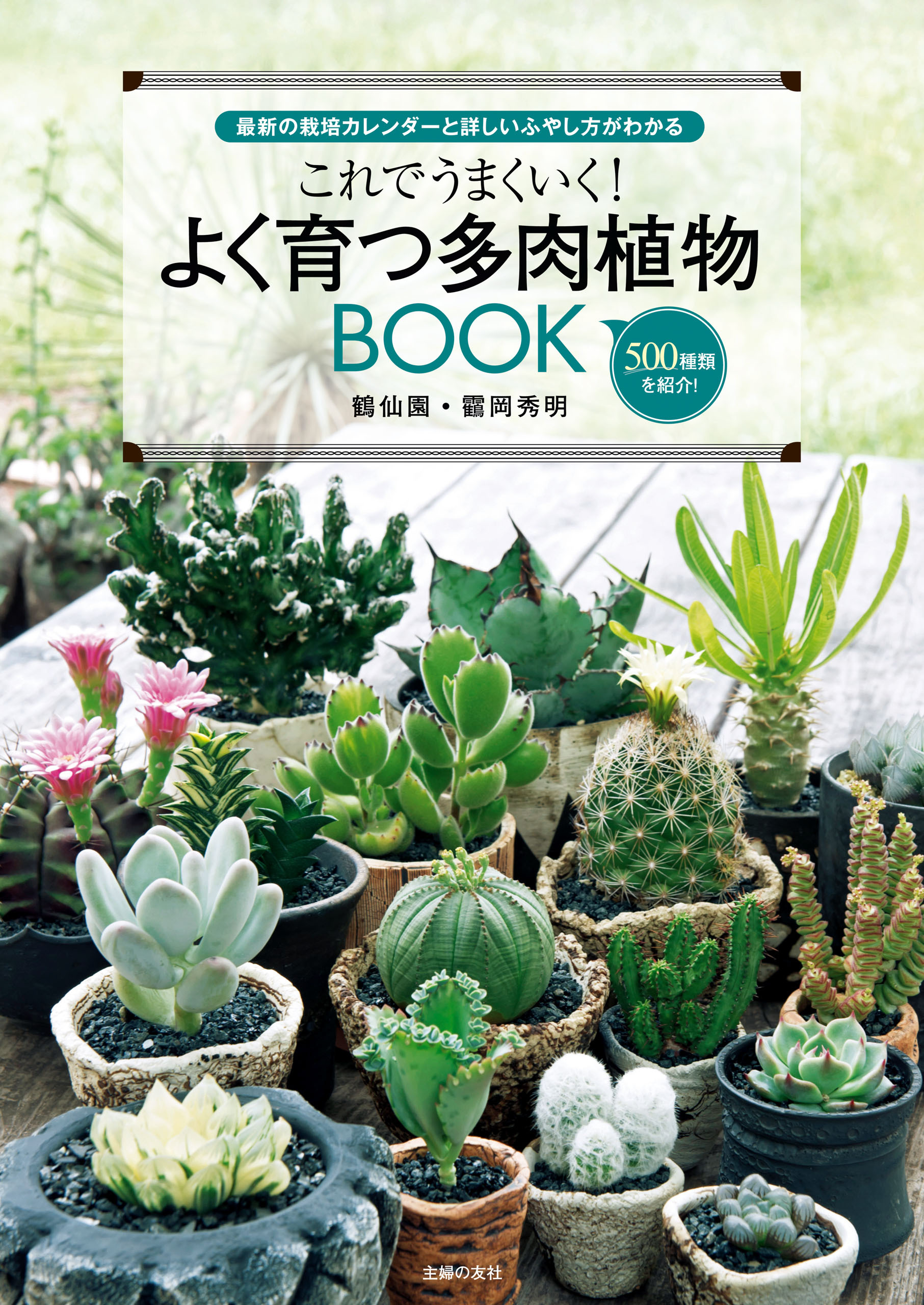 これでうまくいく！よく育つ多肉植物ＢＯＯＫ