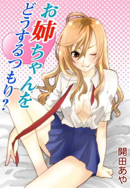 お姉ちゃんをどうするつもり？