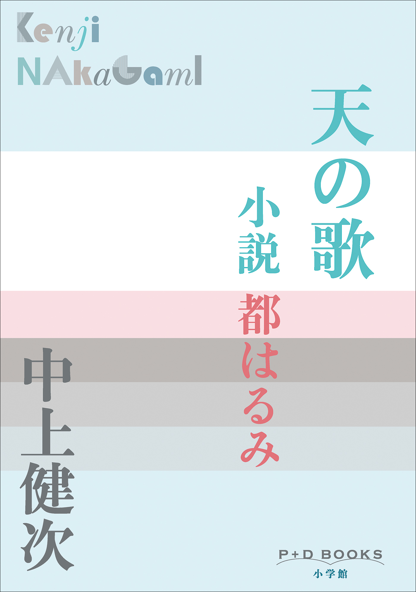P＋D　BOOKS　天の歌　～小説　都はるみ～