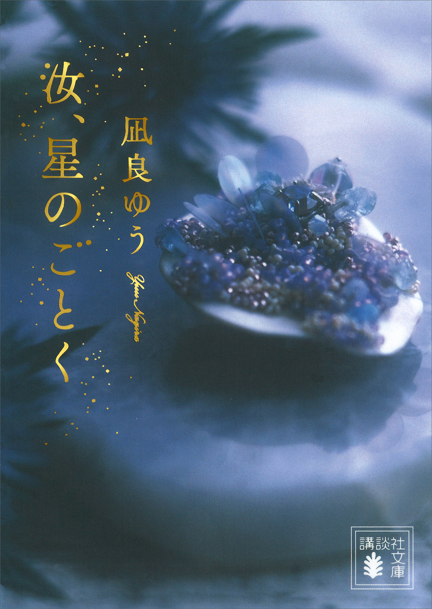 汝、星のごとく【電子限定特典付き】