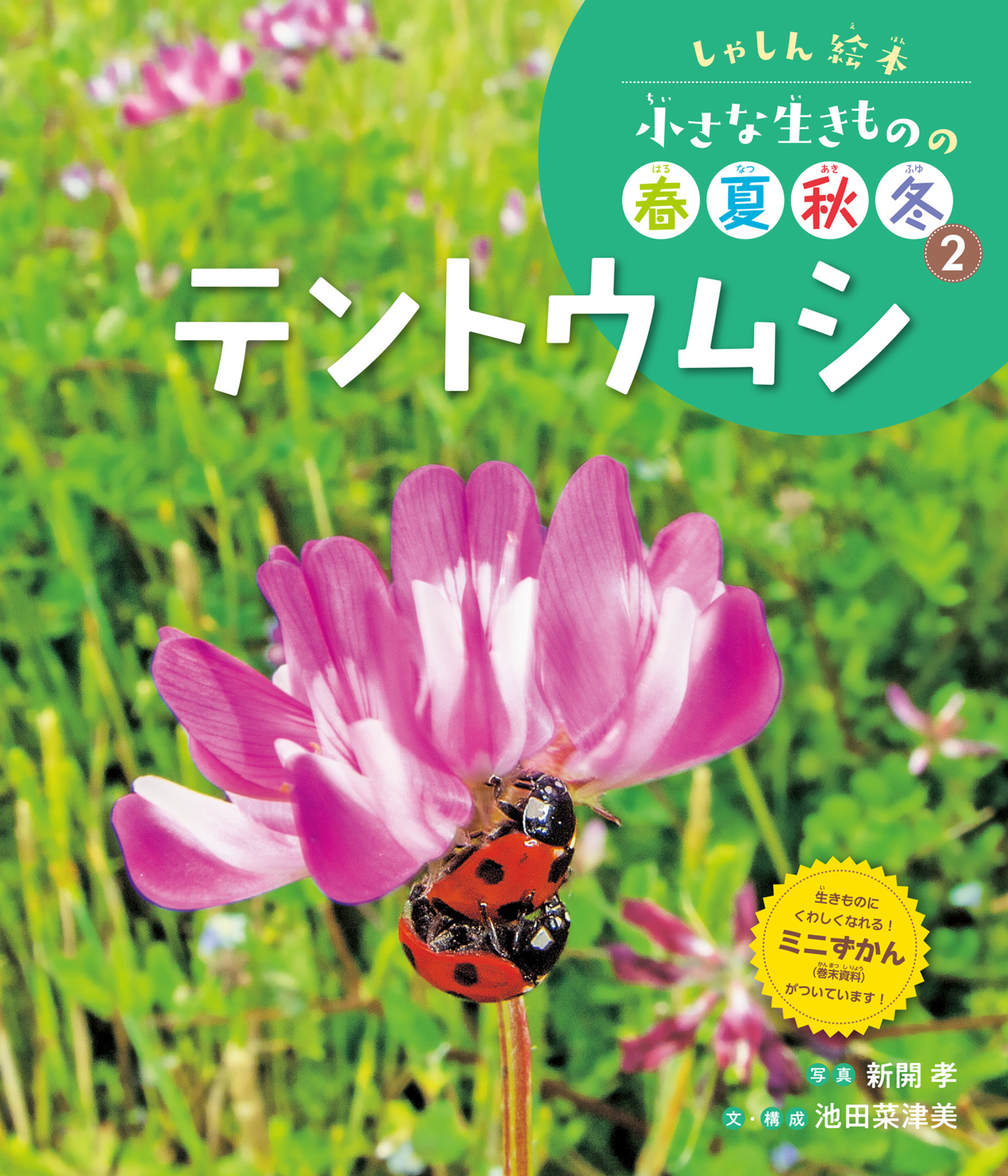 テントウムシ２　しゃしん絵本　小さな生きものの春夏秋冬