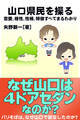 山口県民を操る{恋愛、相性、性格、特徴すべてまるわかり}
