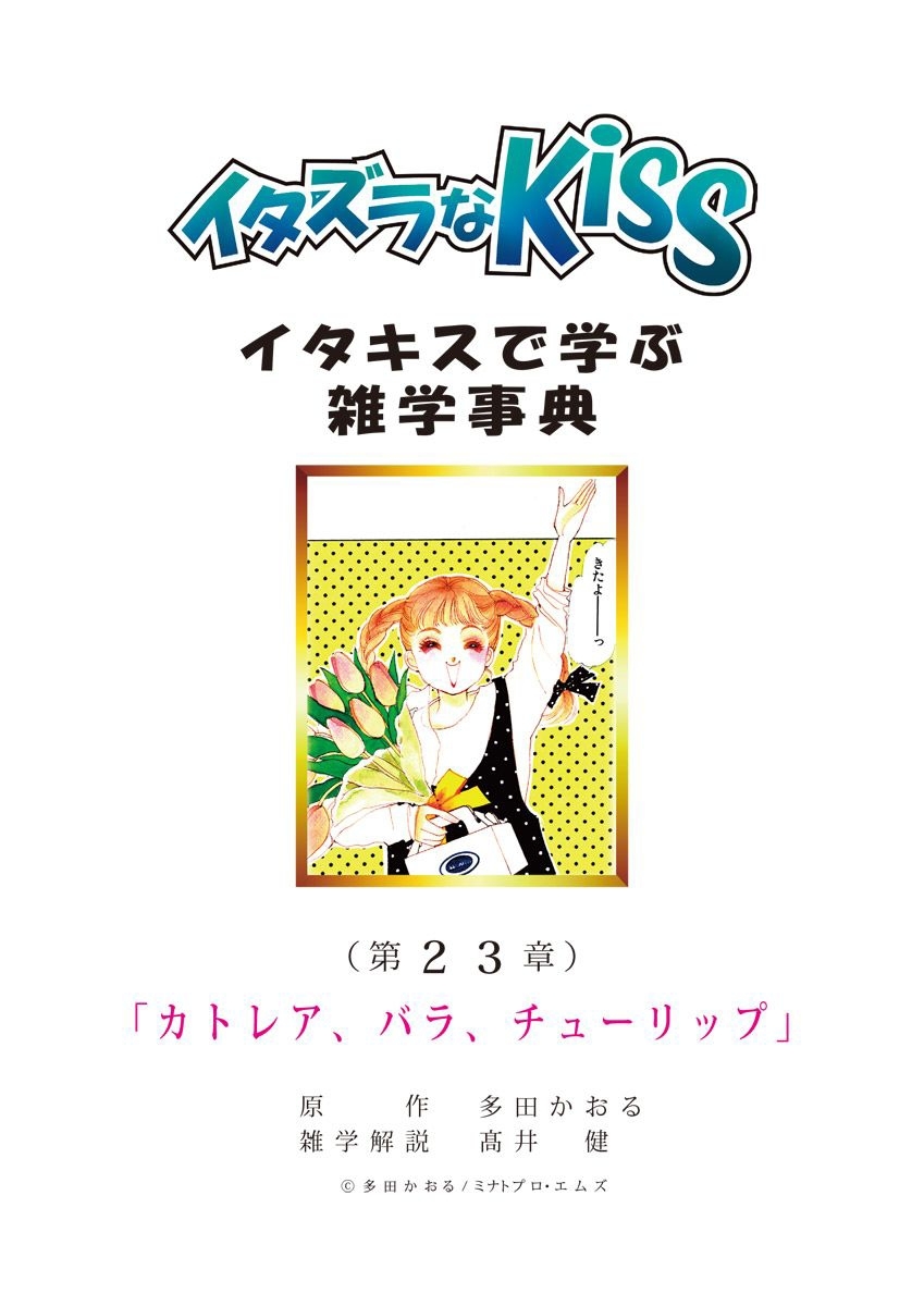 イタズラなKiss～イタキスで学ぶ雑学事典～ 第23章 ｢カトレア、バラ、チューリップ｣