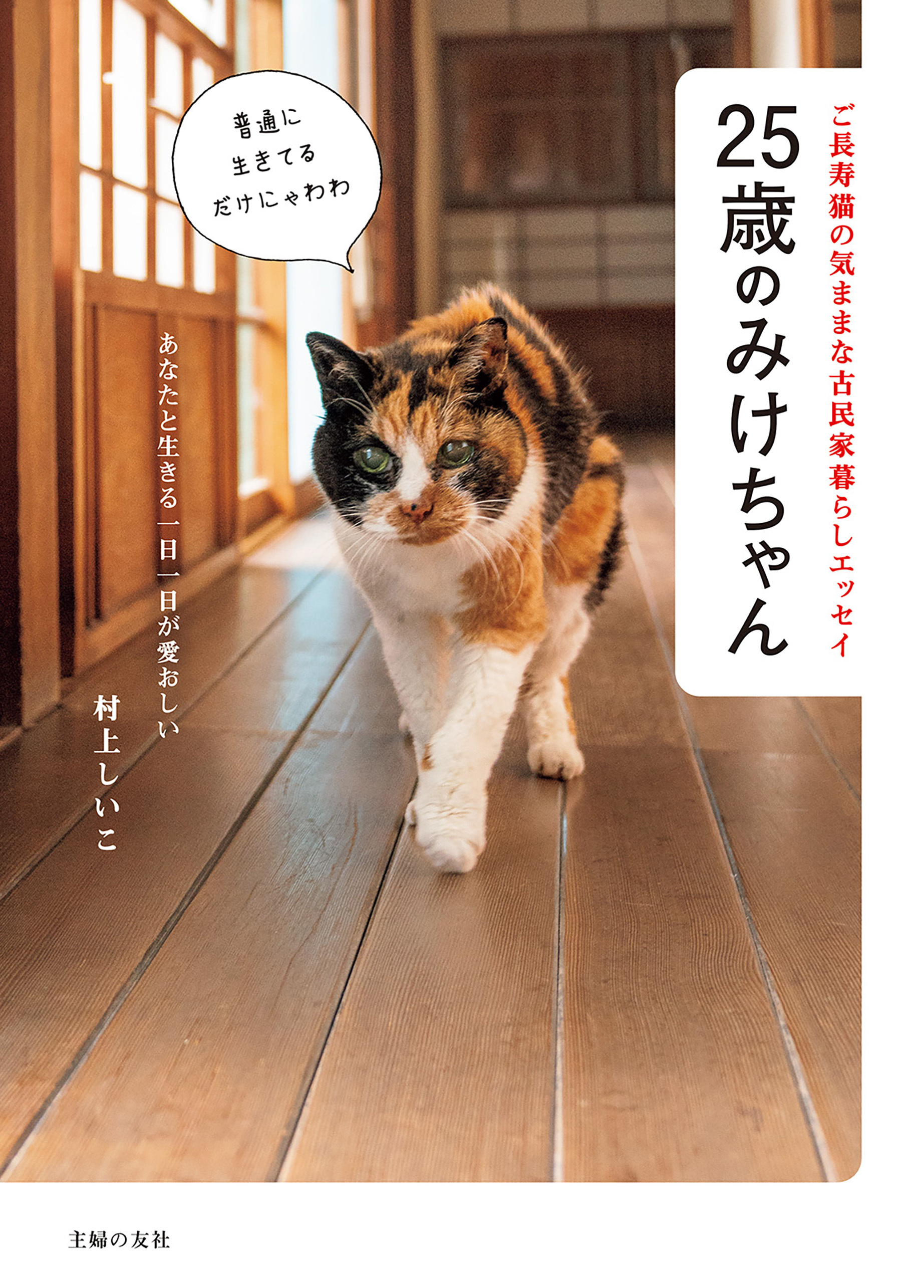 ２５歳のみけちゃん