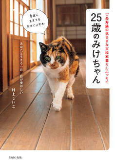 25歳のみけちゃん