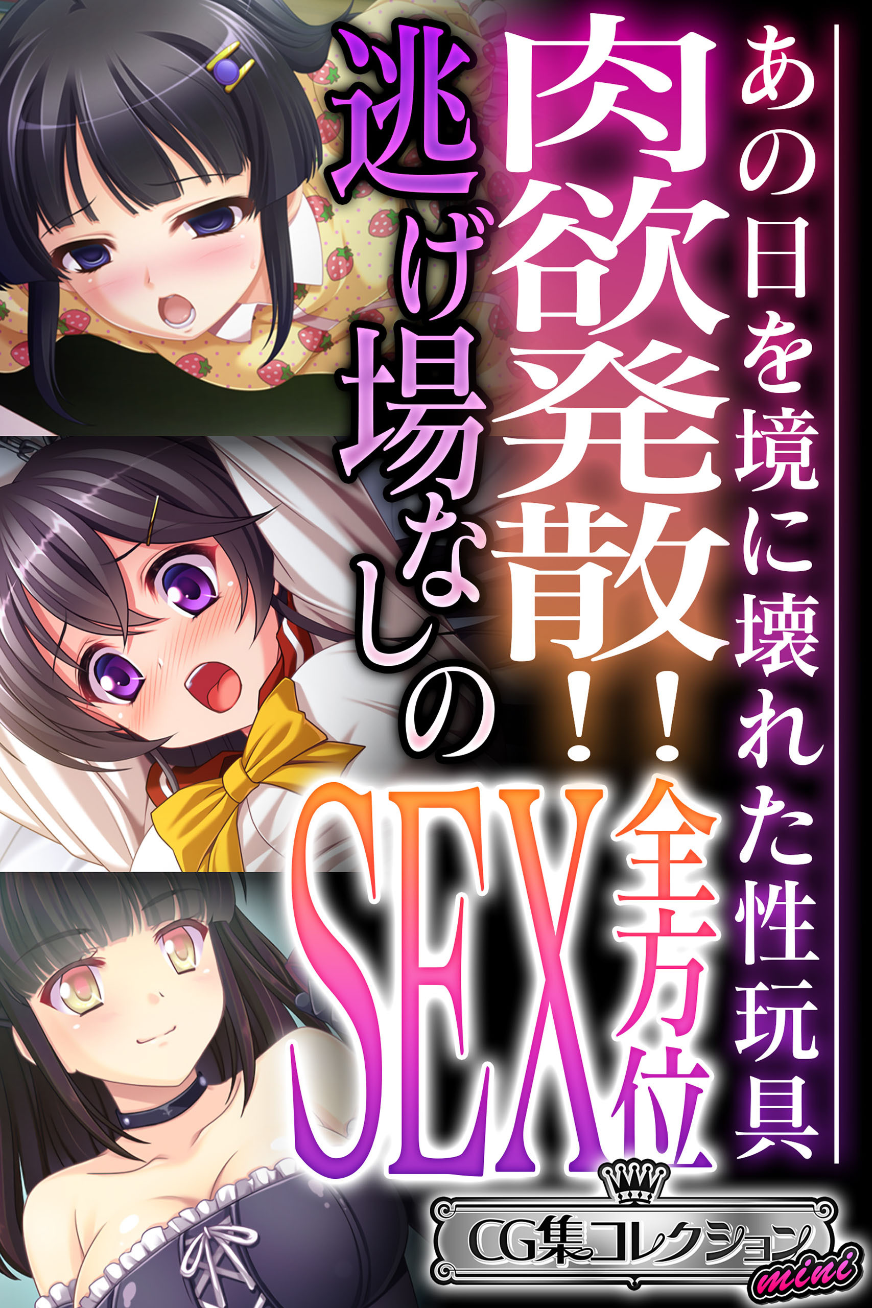 肉欲発散！！逃げ場なしの全方位SEX ～あの日を境に壊れた性玩具～【CG集コレクション ミニ】