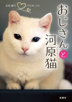 おじさんと河原猫