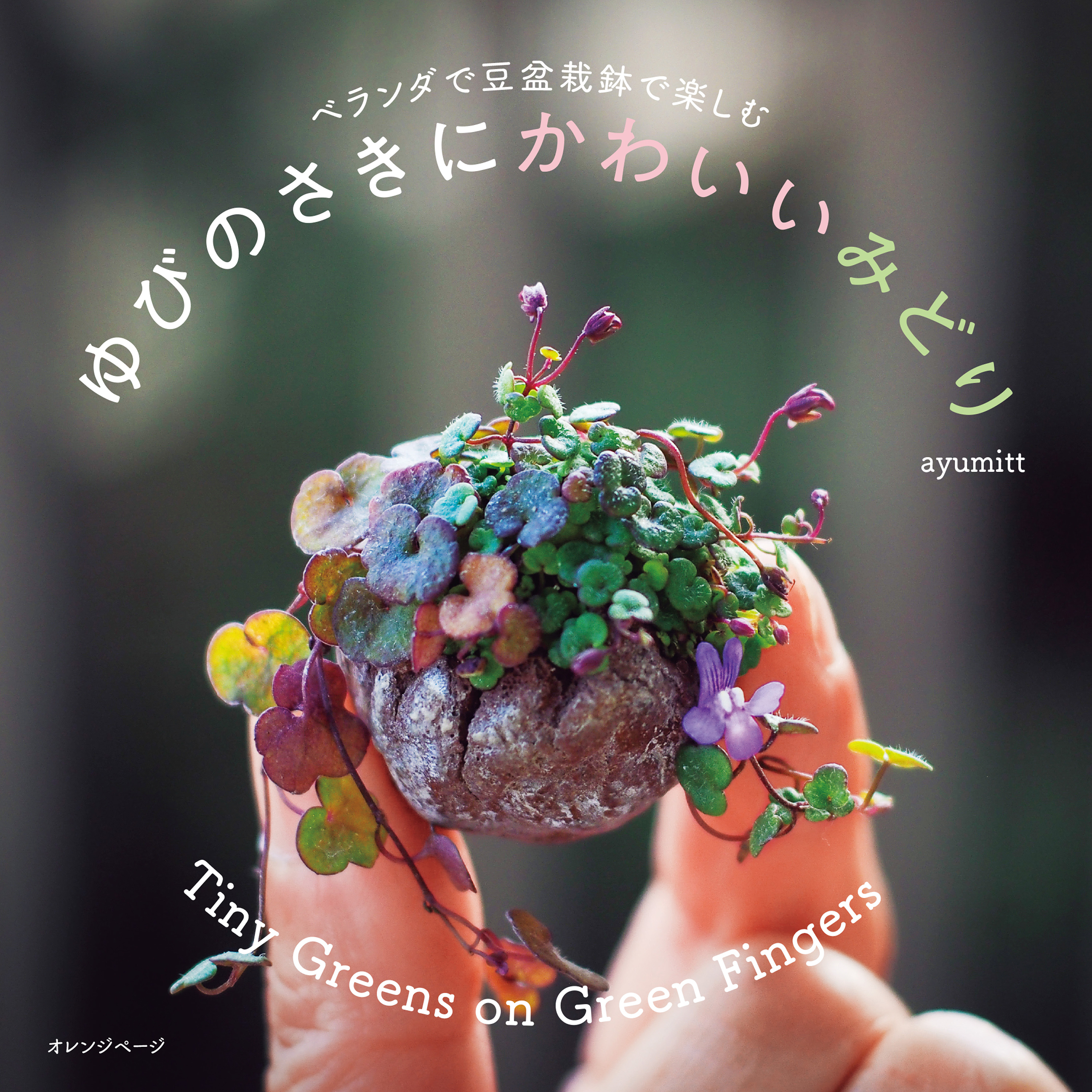 ベランダで豆盆栽鉢で楽しむ　ゆびのさきにかわいいみどり