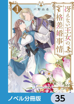 冴えない王女の格差婚事情【ノベル分冊版】 35