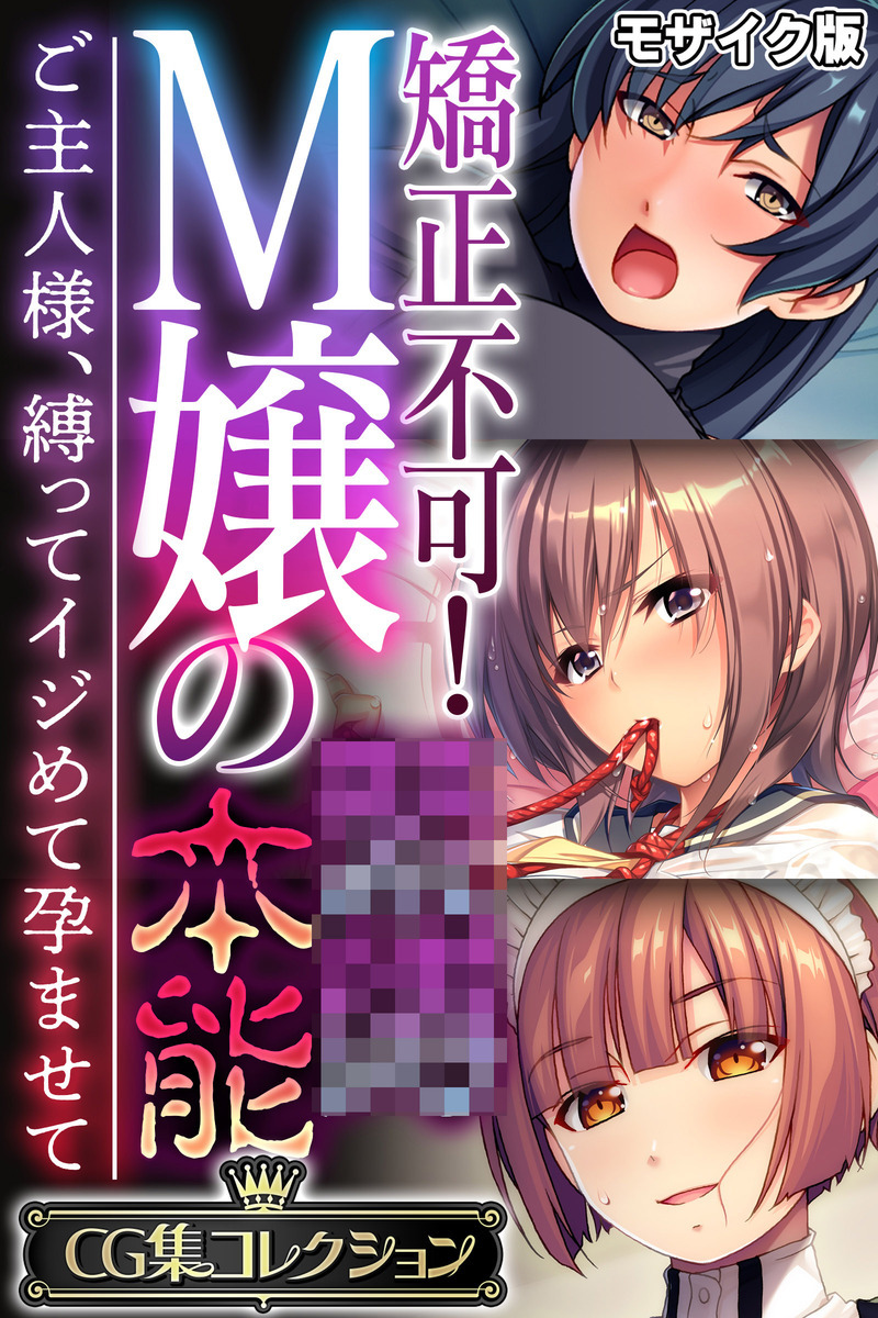 矯正不可！M嬢の●●本能 ～ご主人様、縛ってイジめて孕ませて～【CG集コレクション】 モザイク版