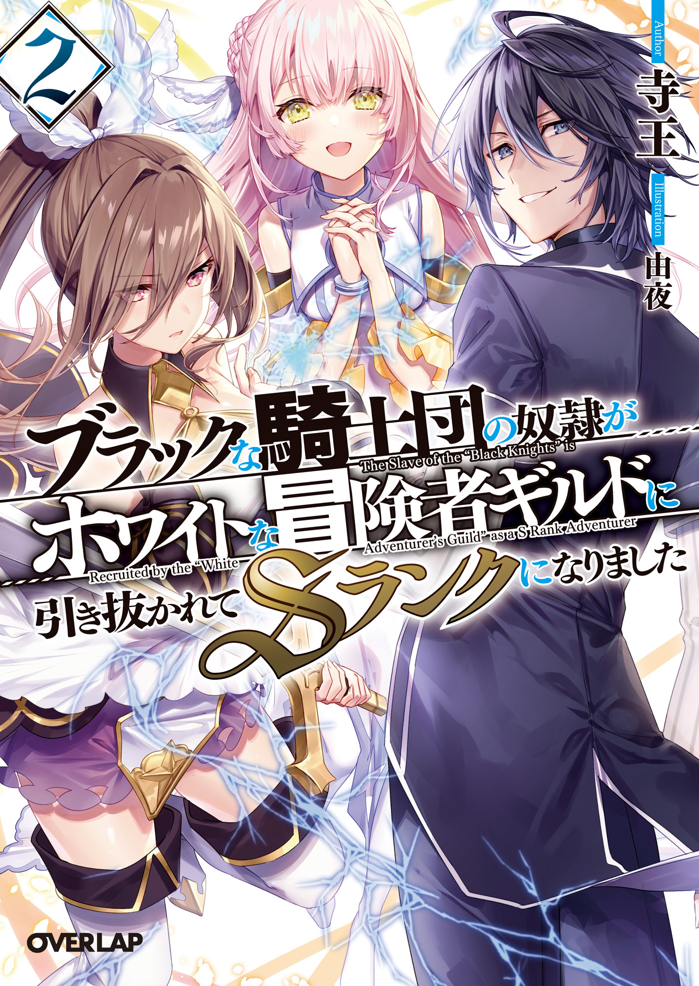【期間限定　無料お試し版】ブラックな騎士団の奴隷がホワイトな冒険者ギルドに引き抜かれてSランクになりました 2