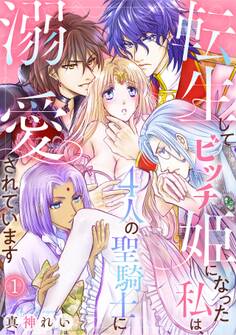 【期間限定 無料お試し版 閲覧期限2026年9月14日】転生してビッチ姫になった私は、4人の聖騎士に溺愛されています(1)