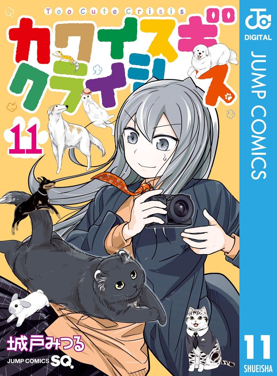 カワイスギクライシス 11