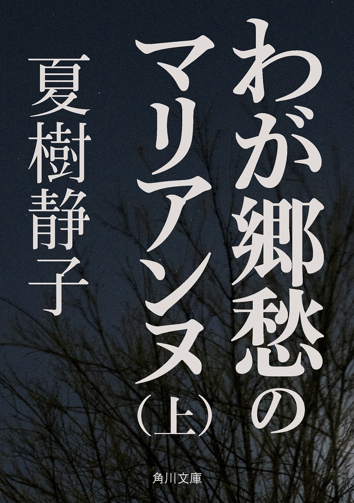 わが郷愁のマリアンヌ（上）