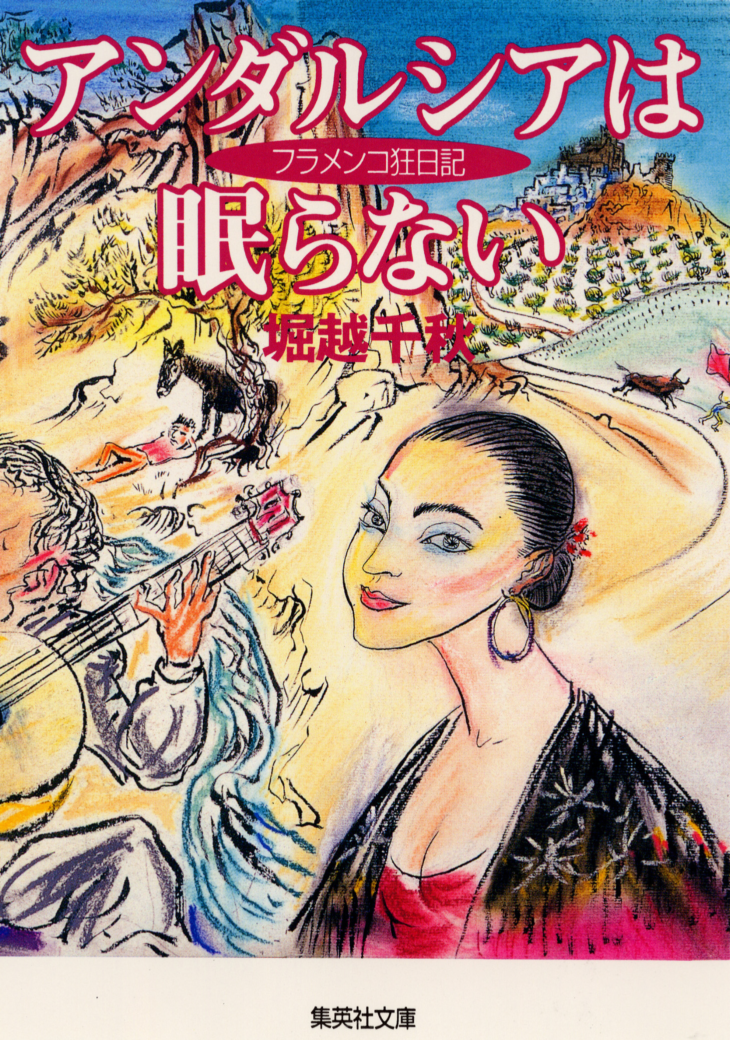 アンダルシアは眠らない　フラメンコ狂日記