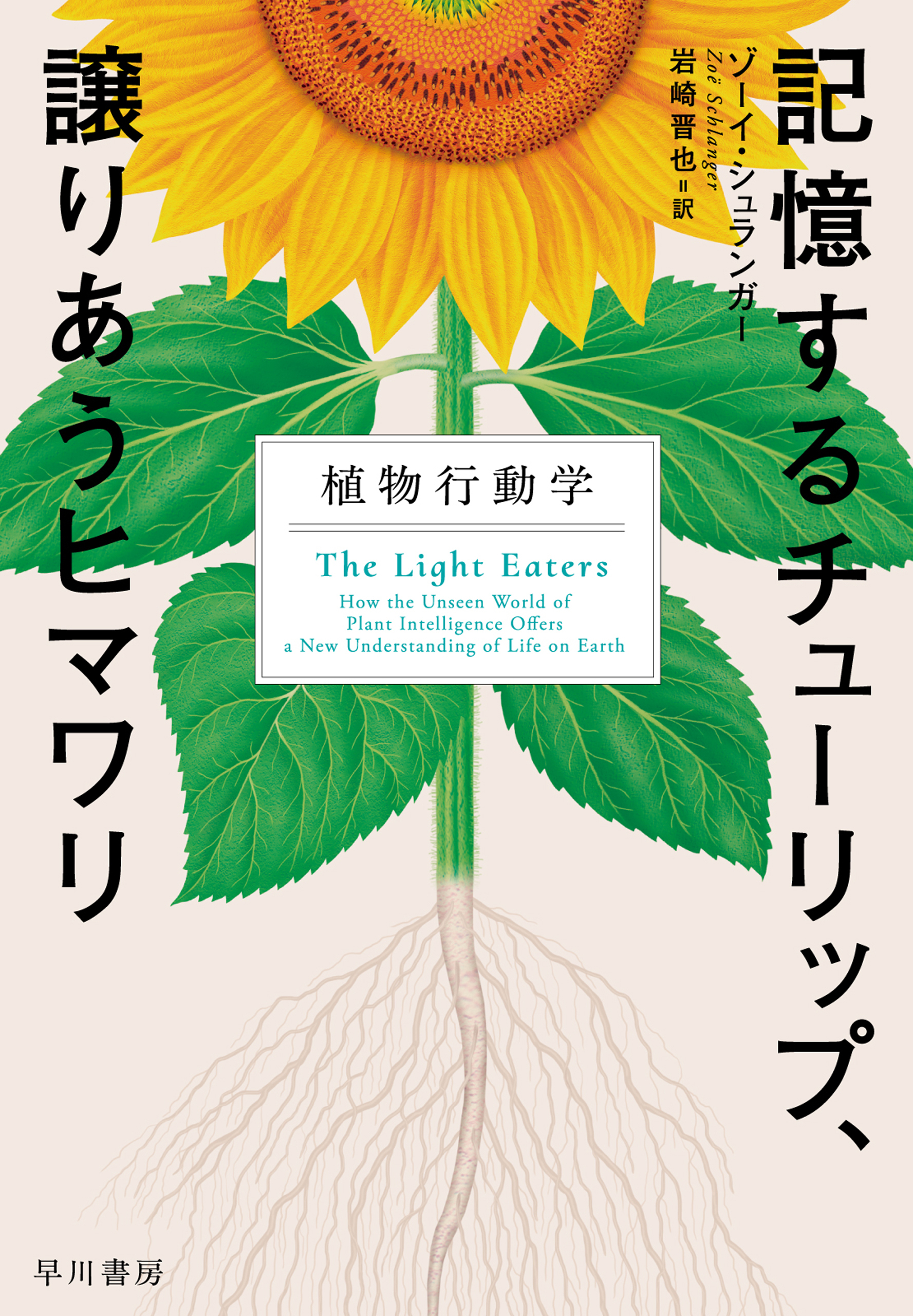 記憶するチューリップ、譲りあうヒマワリ