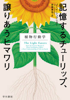 記憶するチューリップ、譲りあうヒマワリ