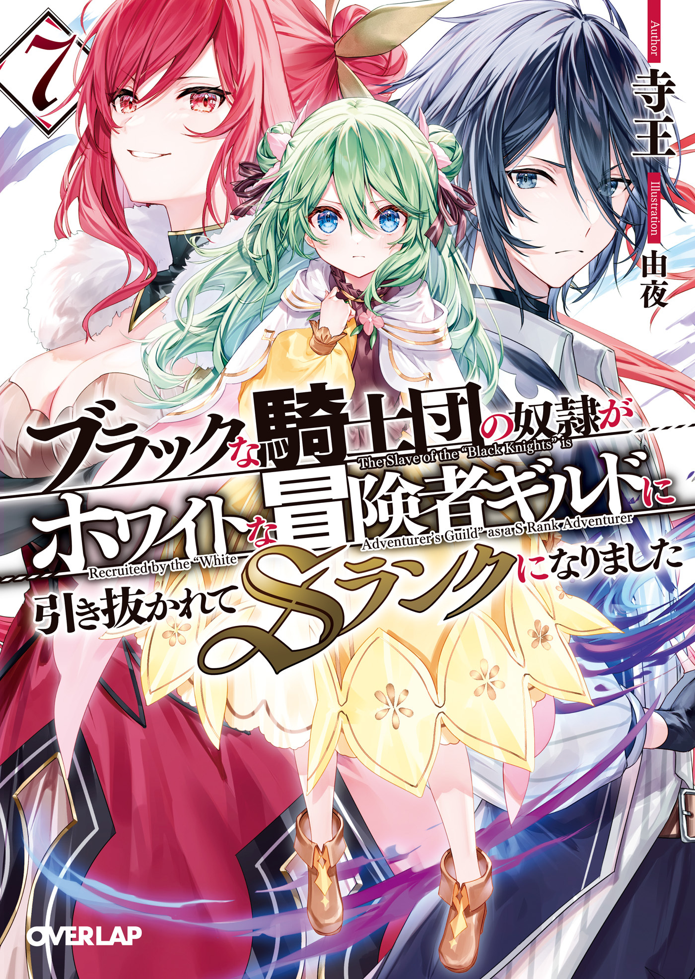 ブラックな騎士団の奴隷がホワイトな冒険者ギルドに引き抜かれてSランクになりました 7